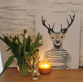 Apartamenty DELUX JELONKA